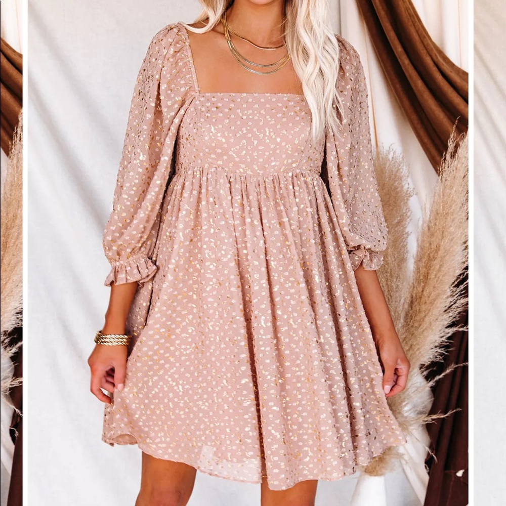 Vici Dolls Metallics Swiss Dot Blush Babydoll dress
